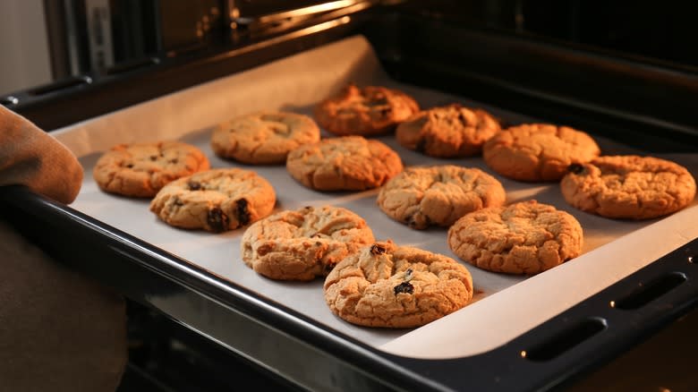 chocolate chip cookies coming out of oven