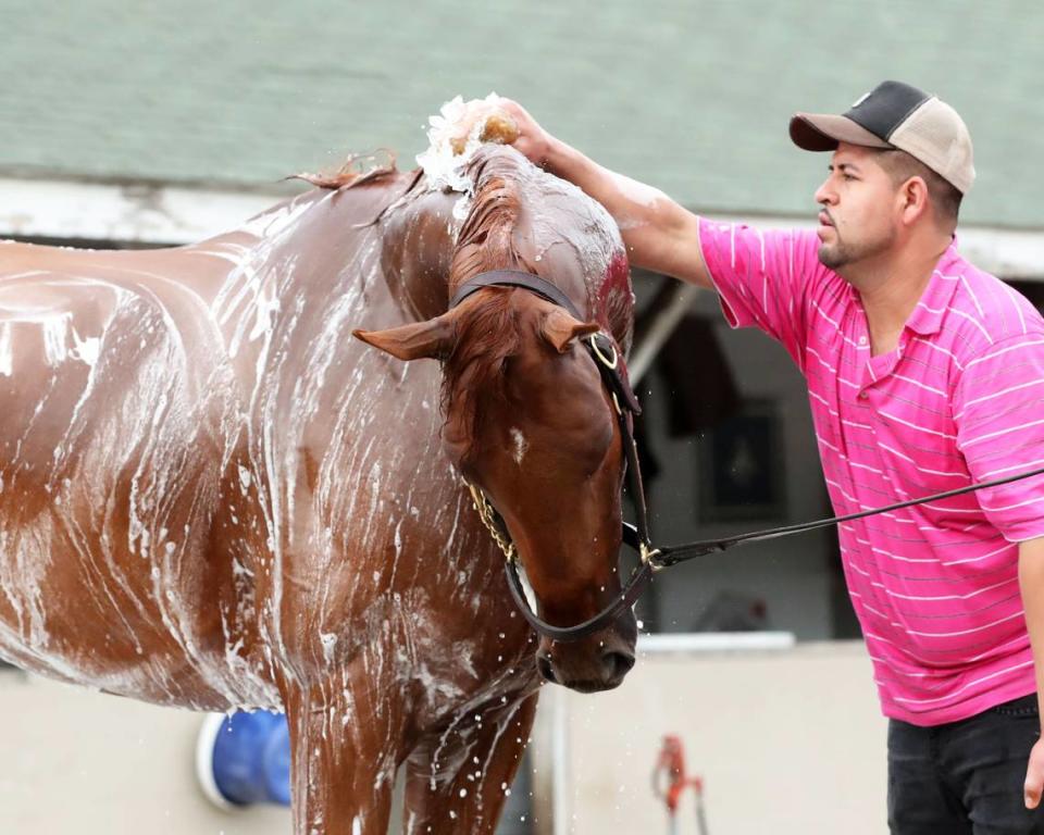 Kentucky Derby contender Disarm will race from post position No. 11 at odds of 30-1.