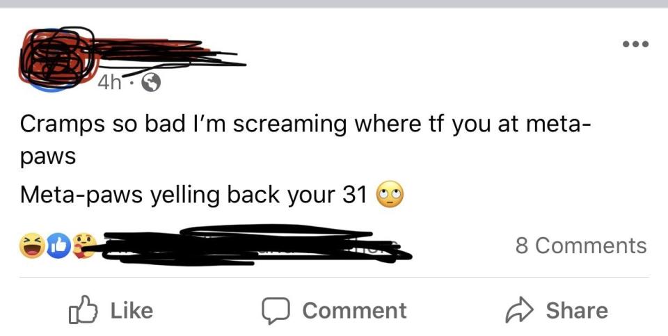 A screenshot of a social media post about someone experiencing severe cramps and jokingly calling for "meta-paws," with humorous response: "Meta-paws yelling back your 31"