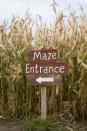 <p>With all the twists and turns, this outdoor fall activity is fun for all ages. The more challenging the course, the better! Find a <a href="https://www.countryliving.com/life/travel/g22717241/corn-maze-near-me/" rel="nofollow noopener" target="_blank" data-ylk="slk:corn maze near you;elm:context_link;itc:0;sec:content-canvas" class="link ">corn maze near you</a>.</p>