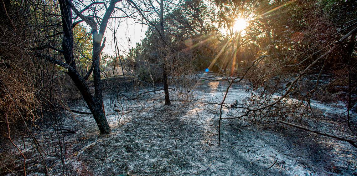 Brush is turned to a thin ashen layer in many pockets of scrubland in Somervell County. The Chalk Mountain fire ravaged ranches and scrubland, destroying 16 homes and damaging others. The wildfire has burned more than 6,000 acres.