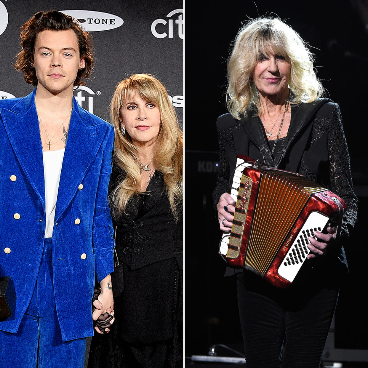 Harry Styles Duets With Stevie Nicks in London as Tribute to Late Christine McVie