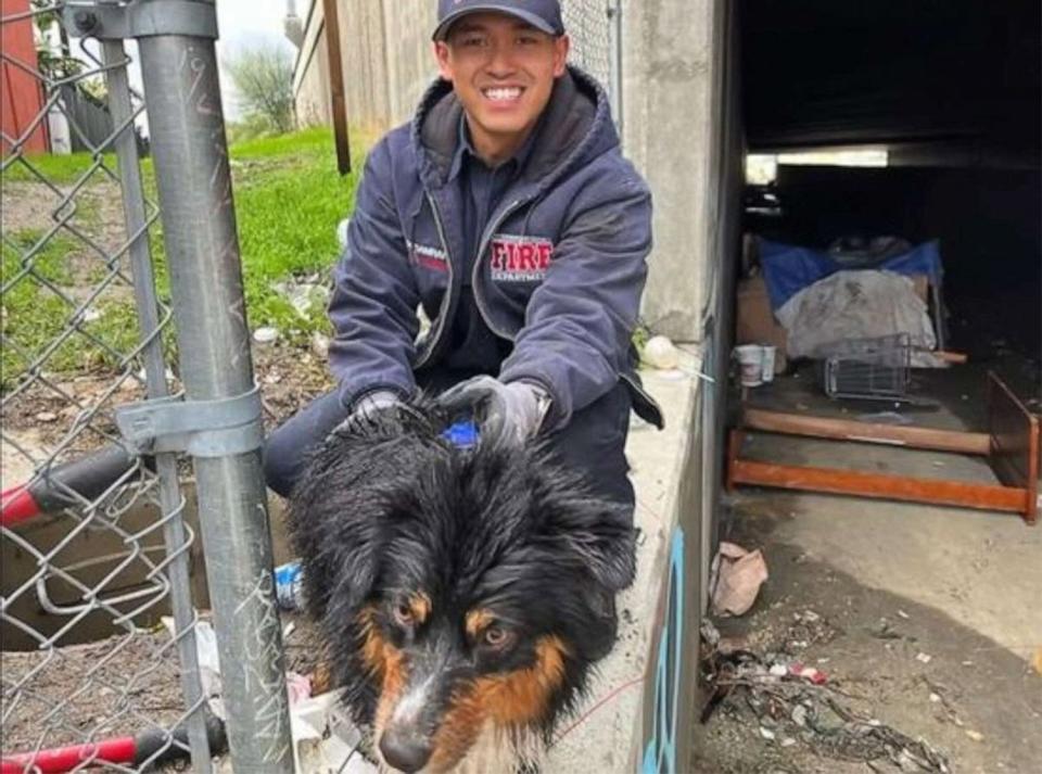 Dog swept away in California floods rescued from storm drain thanks to Apple AirTag