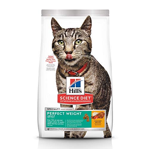 Perfect Weight Dry Cat Food