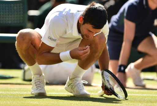 Tasty: Novak Djokovic eats some grass from the court