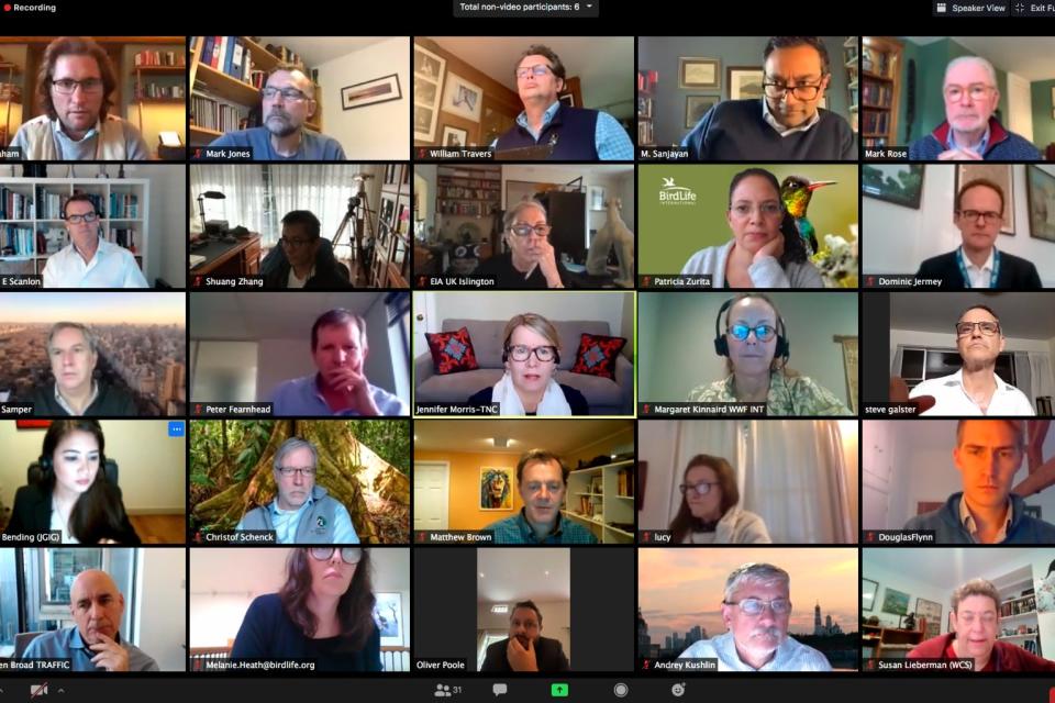 Some of the members of WC20 discuss the declaration on zoom (Stop the Illegal Wildlife Trade)