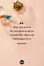 <p>May you never be too grown up to search the skies on Christmas Eve. </p>