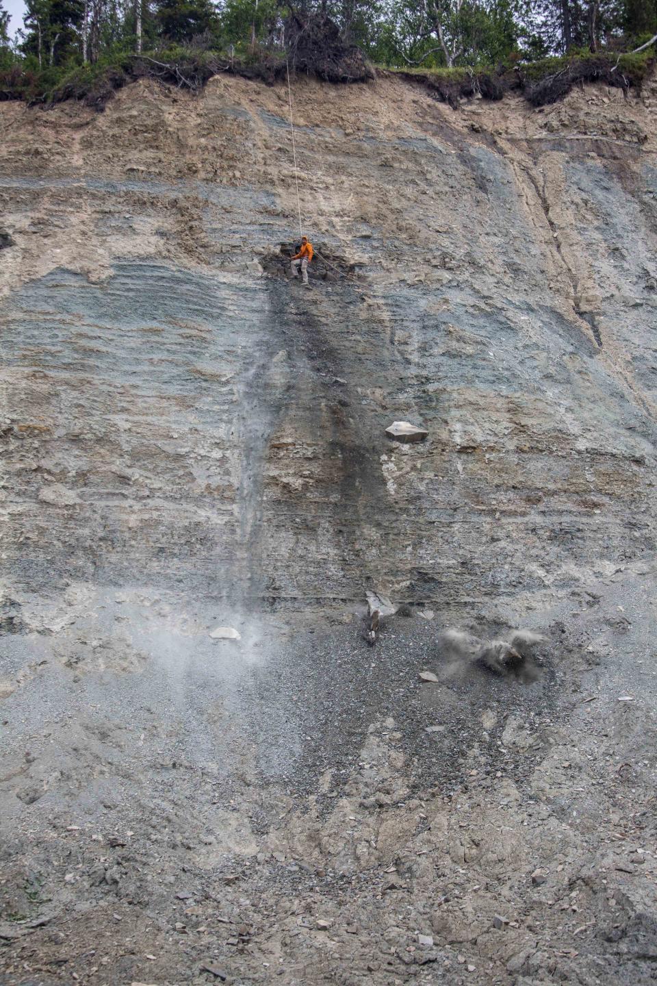 Ilya Bobrovskiy&nbsp;searches for fossils in Zimnie Gory in northwest Russia. (Photo: The Australian National University)