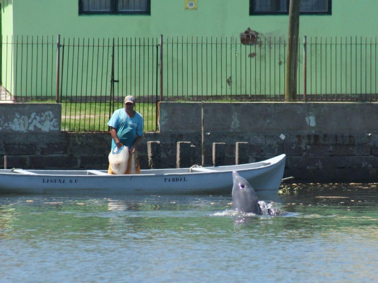 A dolphin peeps up at a fisherman on a boat.