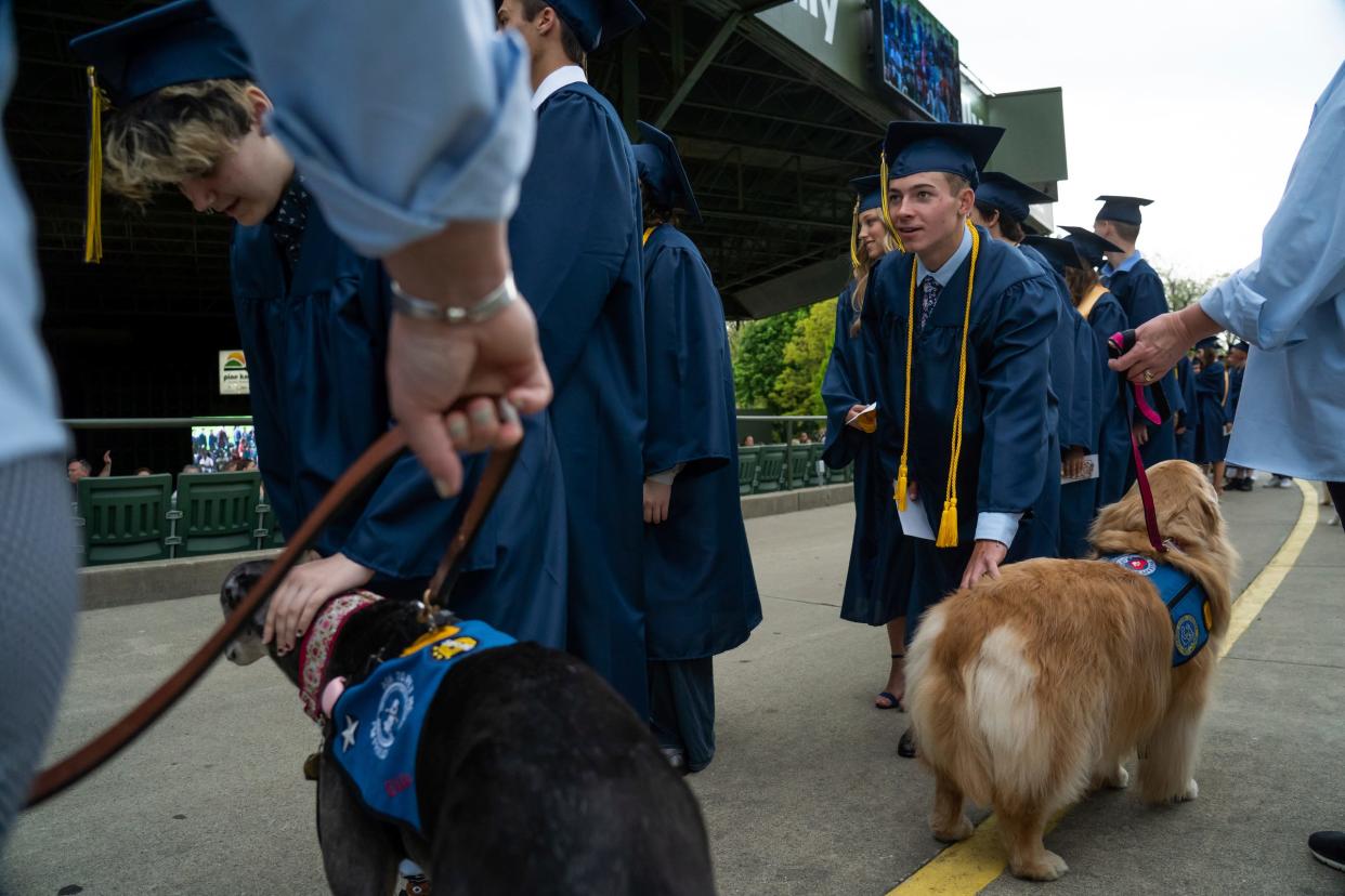 Oxford High School seniors lean down to pet therapy dogs as they walk towards their seats at the start of the graduation ceremony for Oxford High School class of 2022 at Pine Knob Music Theater in Clarkston on Thursday, May 19, 2022. 