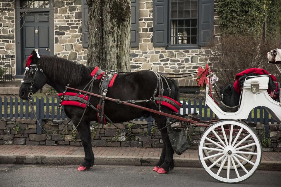 holiday horse drawn carriage rides, new hope, pennsylvania