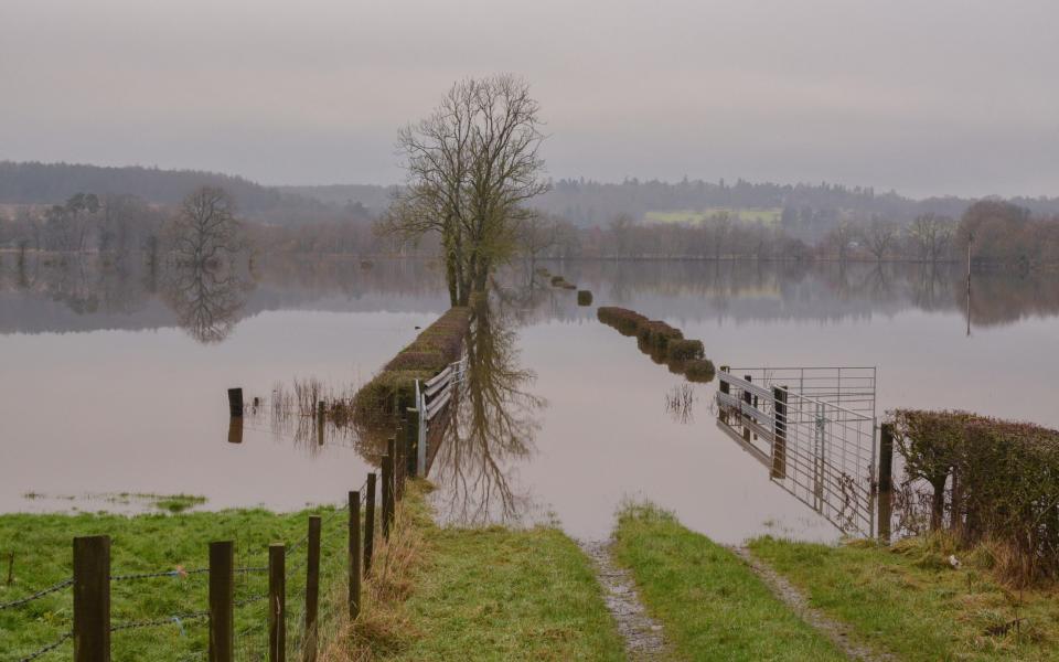 Flooded farmland