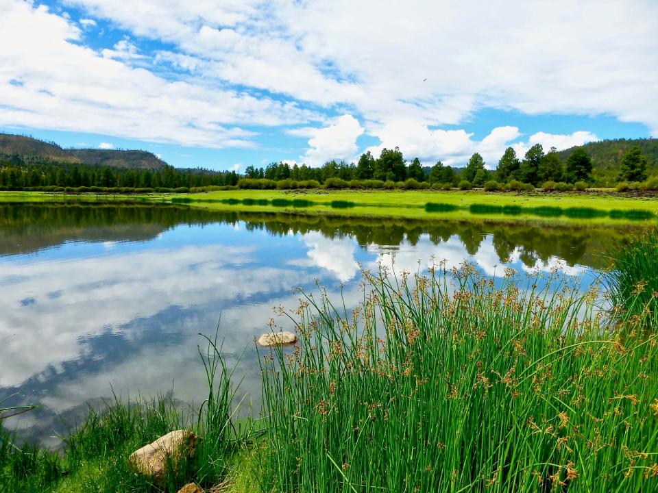 Three small reservoirs are tucked away in the woods just outside of Greer.