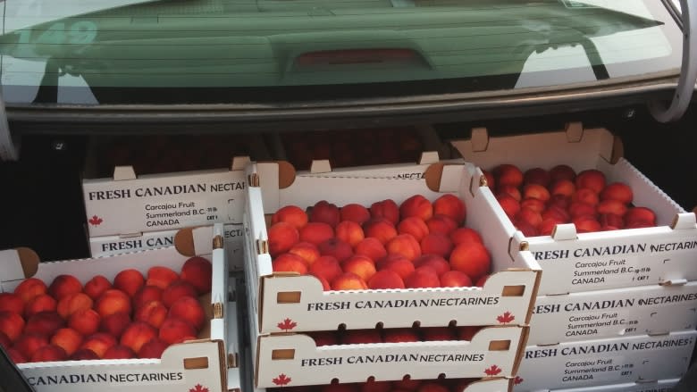 B.C. woman turns 'second grade' fruit into drinking vinegar