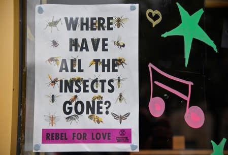 A poster produced by the Extinction Rebellion climate campaign is seen in a shop window in Frome