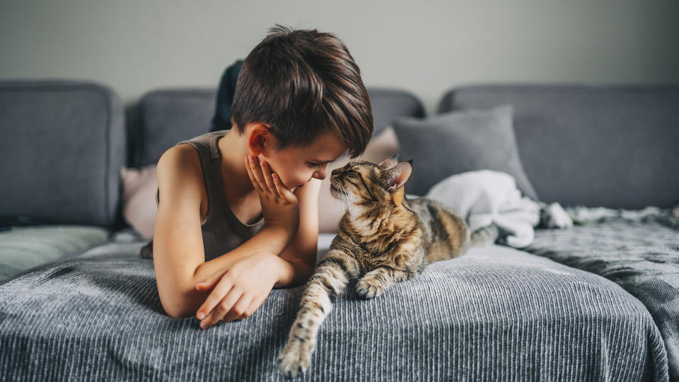 boy with cat on bed