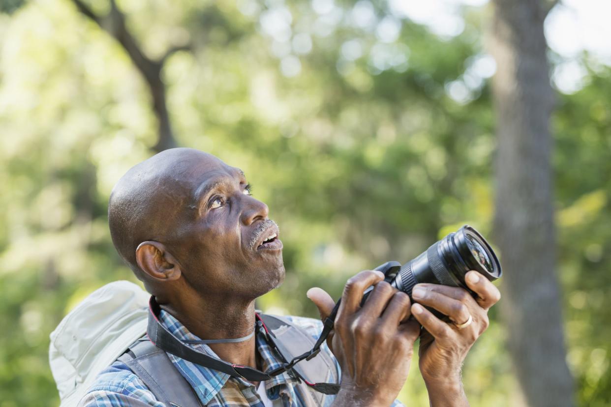 A senior African-American man in his 70s hiking in the park, taking photographs. He is looking upward with a serious expression on his face.