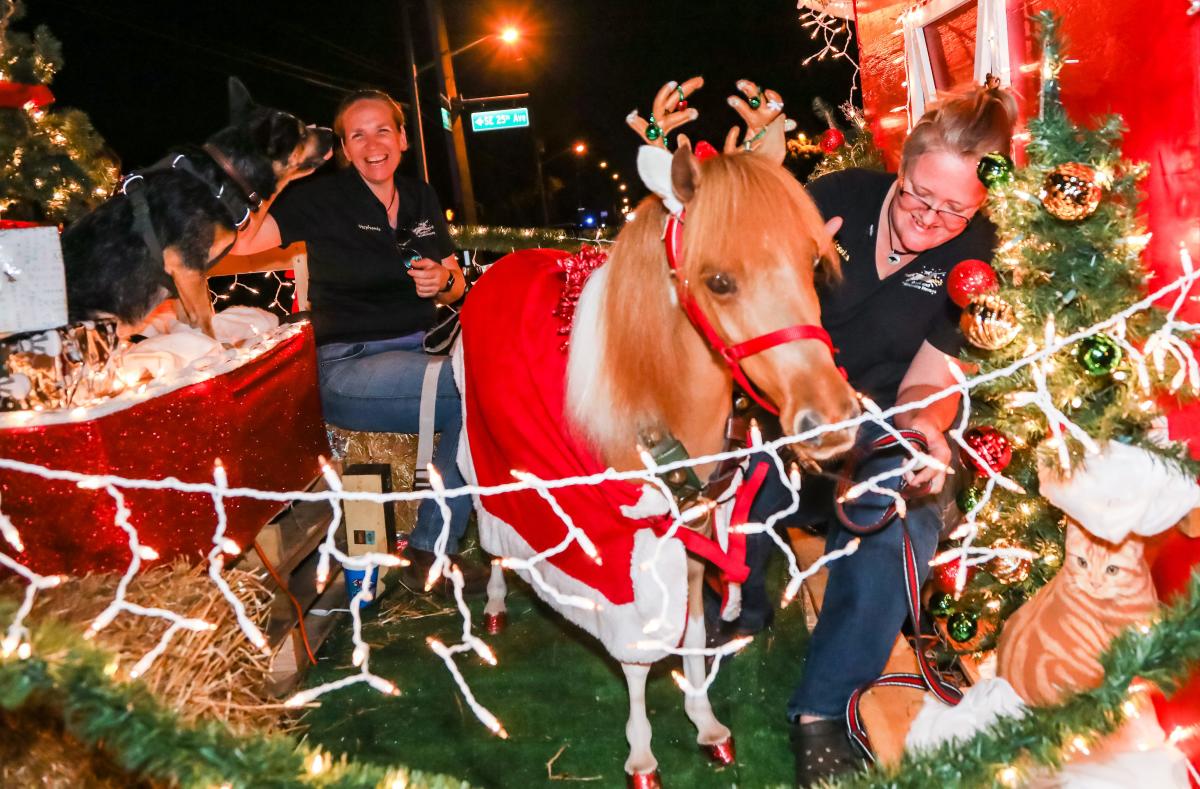 Holiday lights, Christmas parade, theater Fun things to do this