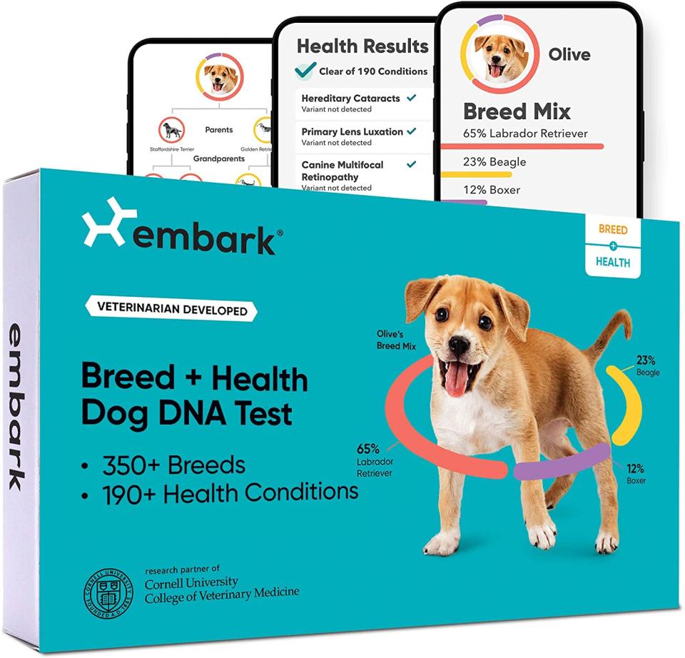 Embark dog DNA test, gifts for animal lovers