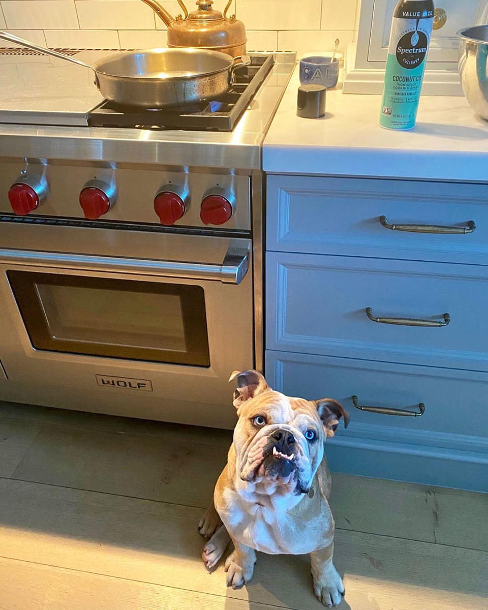 Kitchen Helper