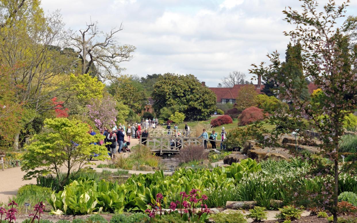 rhs wisley best gardens summer visit uk