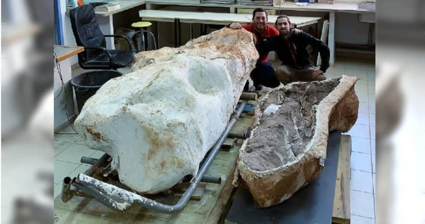 目前這具化石被安置在克呂齊博物館中。（圖／擷取自Damien Boschetto　IG）