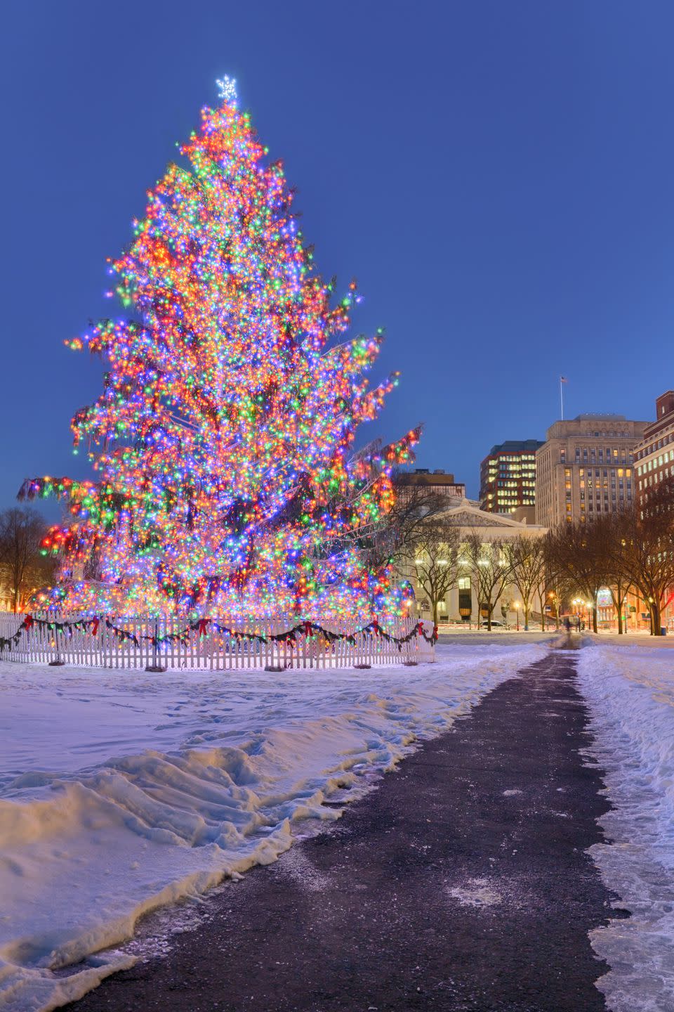 Connecticut: The New Haven Green Christmas Tree