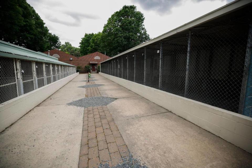 Outdoor dog kennels at the former Humane Society of Charlotte building on Toomey Avenue in Charlotte, N.C., Thursday, May 12, 2022. Dogs will be housed indoors at the new facility which opens later this month.