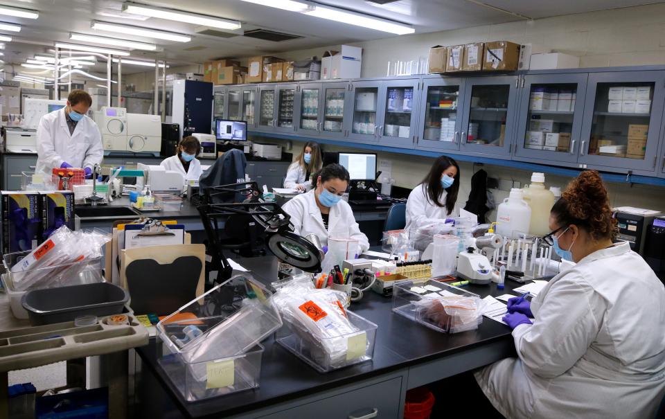 Swab samples are processed and labeled as part one of the COVID-19 testing procedure at the Rhode Island Department of Health Laboratory on Orms Street last year.