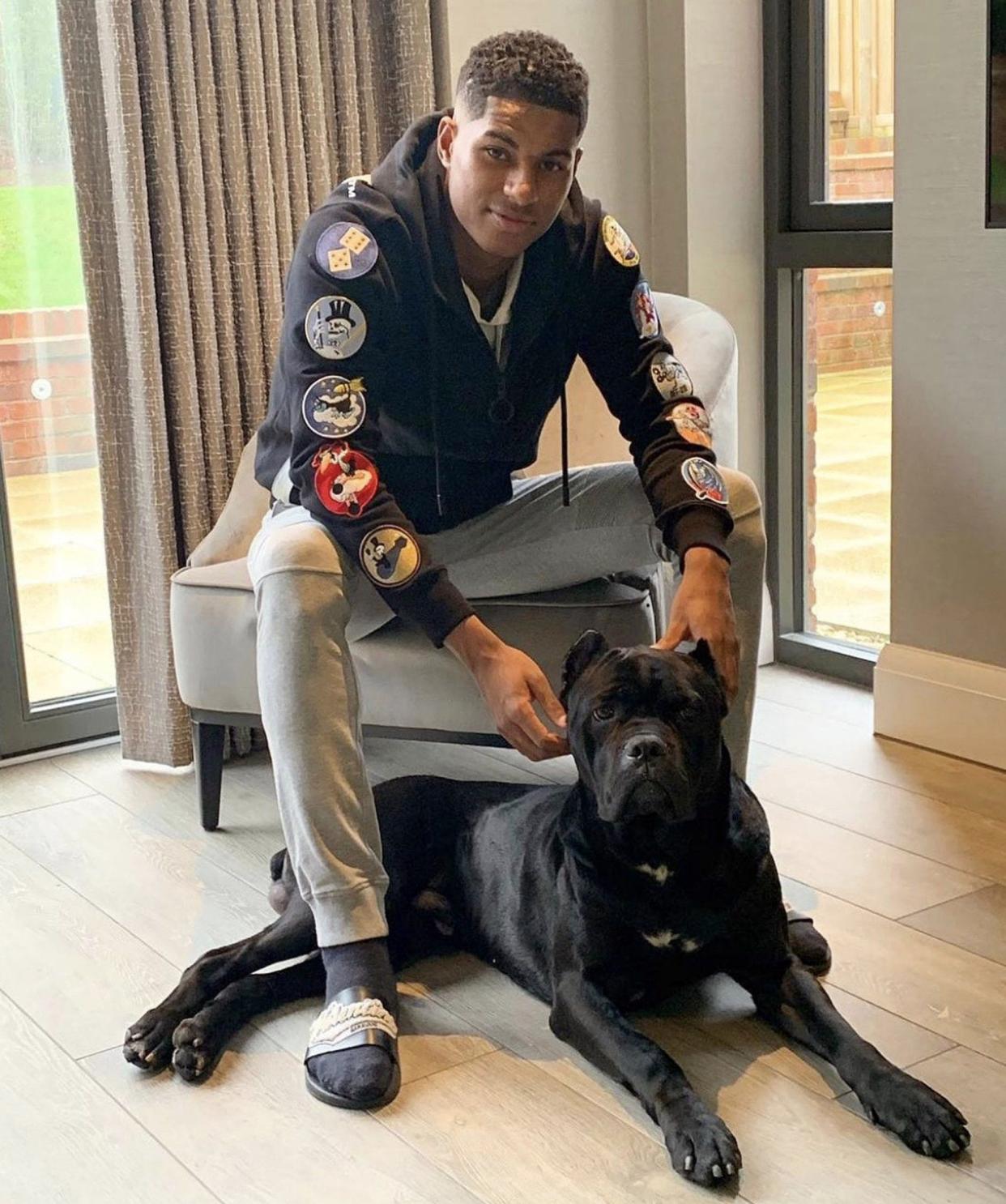 Marcus Rashford with his Italian mastiff