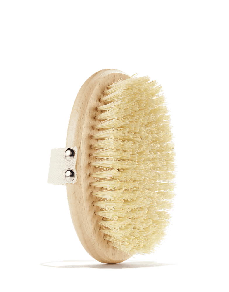 <p><a href="https://go.redirectingat.com?id=74968X1596630&url=https%3A%2F%2Foseamalibu.com%2Fproducts%2Fplant-based-dry-brush&sref=https%3A%2F%2Fwww.prevention.com%2Fbeauty%2Fskin-care%2Fg44812484%2Fbest-dry-brushes%2F" rel="nofollow noopener" target="_blank" data-ylk="slk:Shop Now;elm:context_link;itc:0;sec:content-canvas" class="link ">Shop Now</a></p><p>Plant-Based Body Brush</p><p>oseamalibu.com</p><p>$28.00</p>