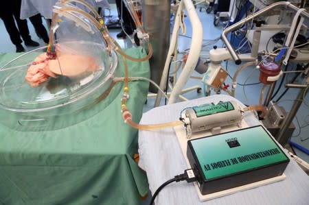 Aadil Ali runs a test on a pig's lung being inflated at a lab run by the University Health Network in Toronto