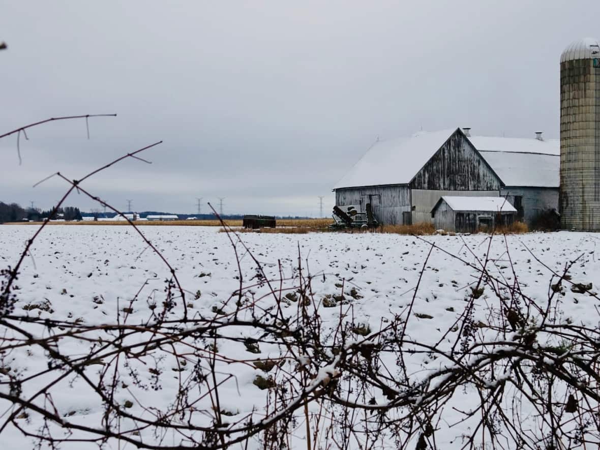 A 37-hectare farm, which is zoned as an agricultural resource just beyond the suburb of Orléans, has been allowed inside the City of Ottawa's urban boundary by Ontario's Minister of Municipal Affairs and Housing. (Kate Porter/CBC - image credit)