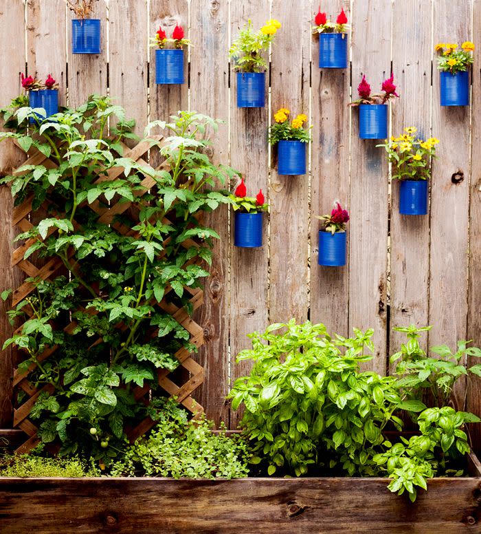 best backyard decor fence can planter