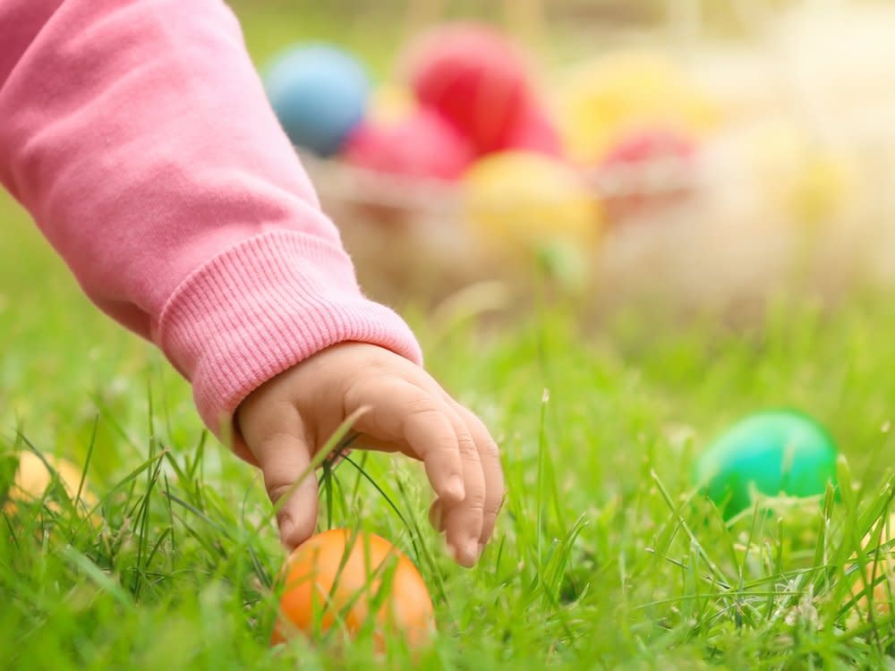 Einer der beliebtesten Osterbräuche: das Eiersuchen. (Bild: Africa Studio/Shutterstock.com)