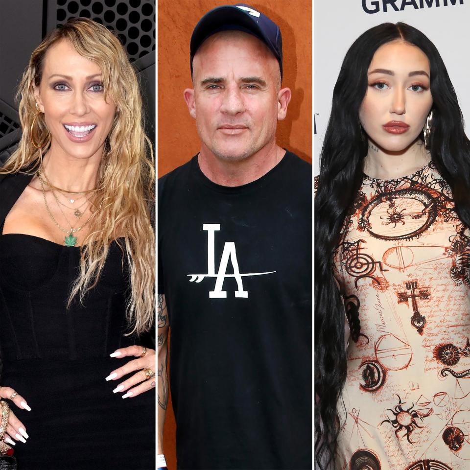 How Tish Cyrus and Husband Dominic Purcell Coped With the Fallout of Noah Cyrus Drama