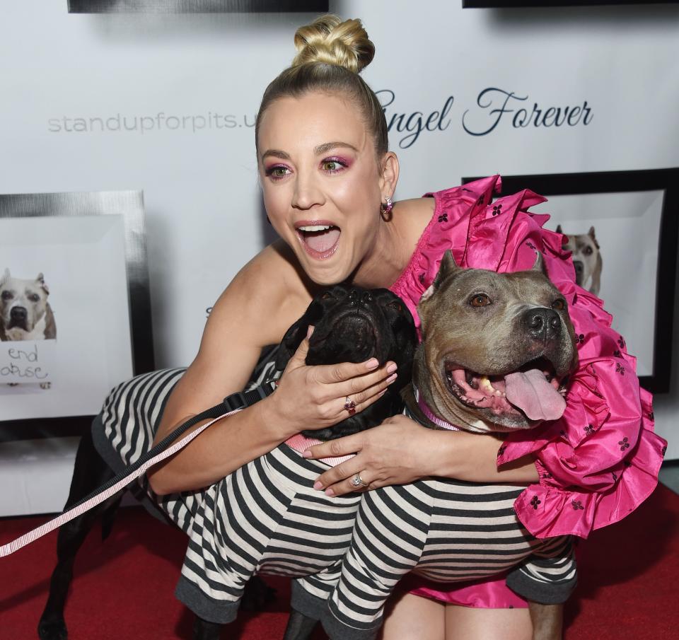 Kaley Cuoco, pictured at the&nbsp;8th Annual Stand Up for Pits event at the Hollywood Improv Comedy Club, is known for supporting animal advocacy causes. (Photo: Amanda Edwards via Getty Images)