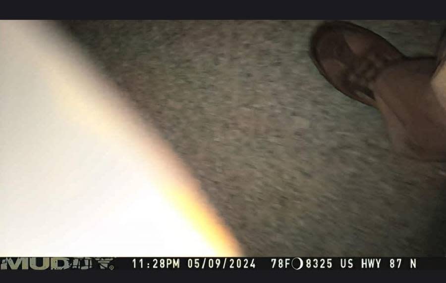 An image of the “Lake Gardens Bandit” captured by a hunting camera installed in the building.