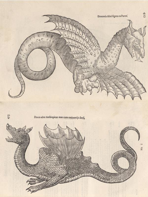 Aldrovandi's compendium of reptiles contained woodcuts and descriptions of both real serpents and what we now know to be mythical beasts, like these dragons.