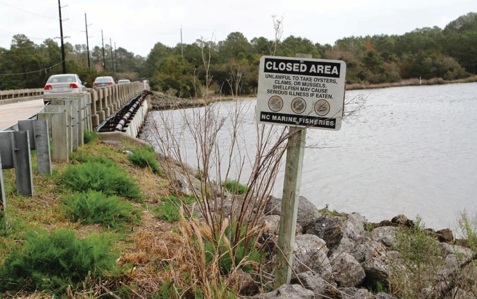 Some waters along the N.C. coast are closed to shellfishing by state regulators to stop people from getting sick from eating contaminated seafood.