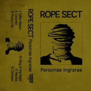 04RopeSect-1513038030