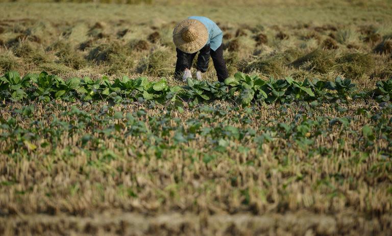 Chinese police are seeking more than 100 Vietnamese brides who vanished after marrying bachelors from a poor rural area