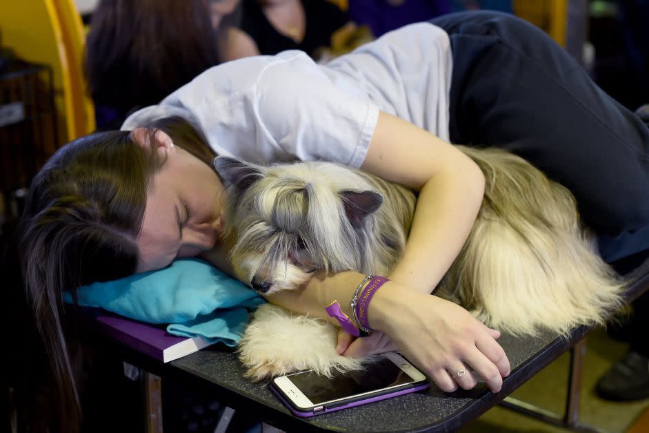 Westminster Dog Show Photos They Don't Want You to See