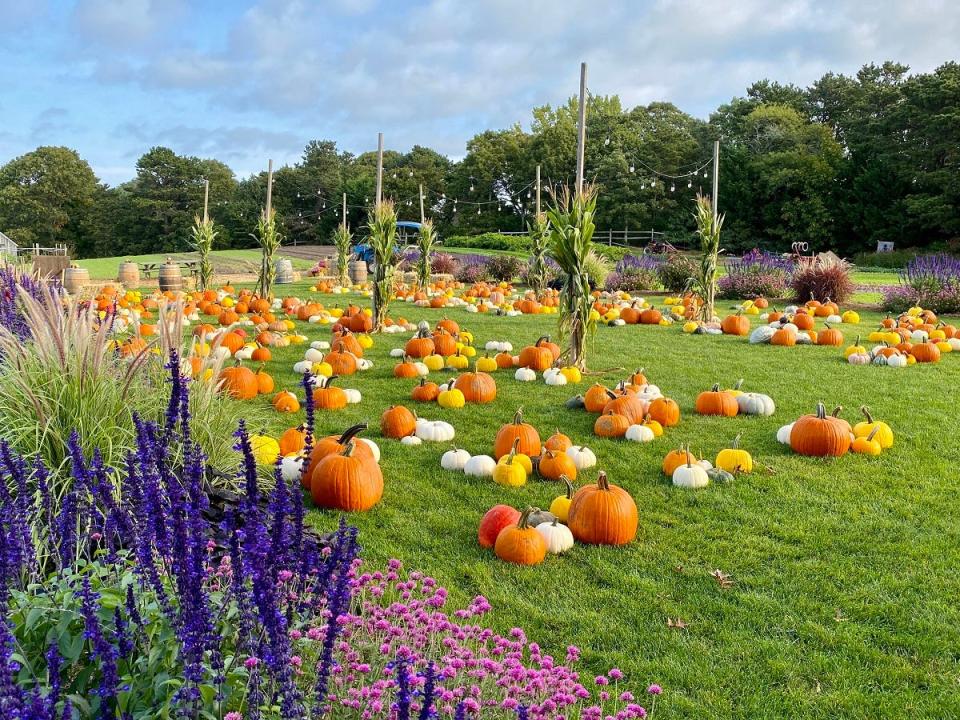 The 4th annual Fall Frolic will take place at the Chatham Bars Inn Farm on Oct. 7.