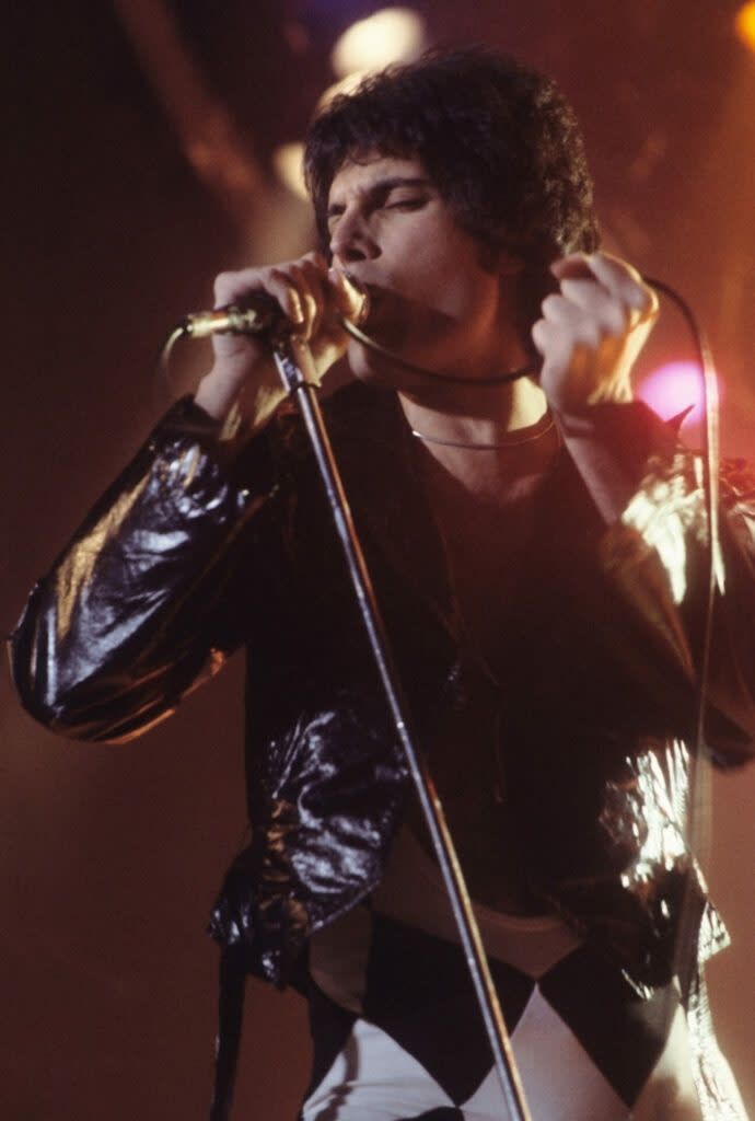 Freddie Mercury (Image: Wiki)