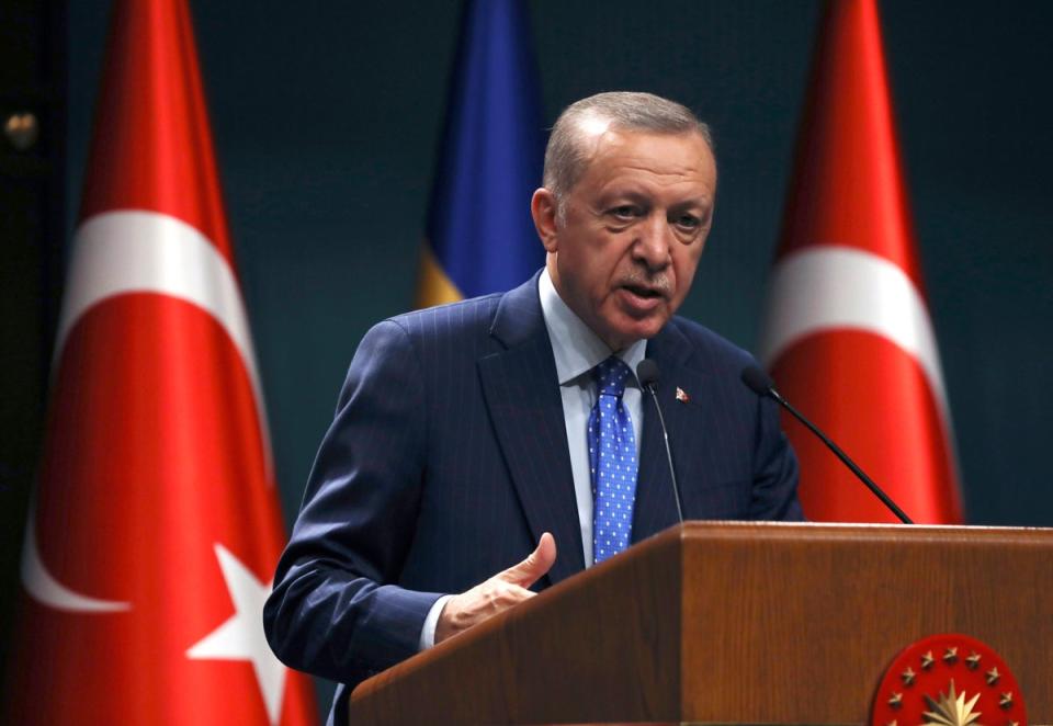 Turkey’s president Recep Tayyip Erdogan says the rally in  Stockholm is an insult to Islam  (AP)