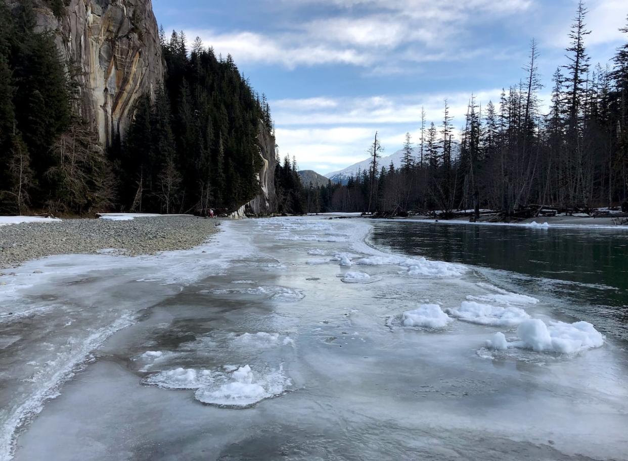 The Unuk River is one of the transboundary watersheds of southeast Alaska.  (Earthjustice - image credit)