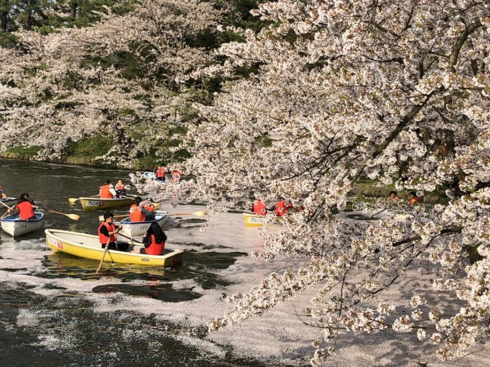 弘前公園的西濠可以划船。