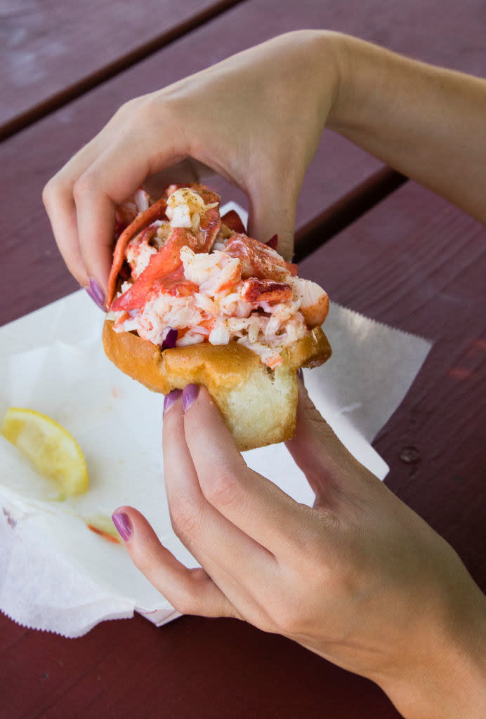 A person eating a lobster roll.