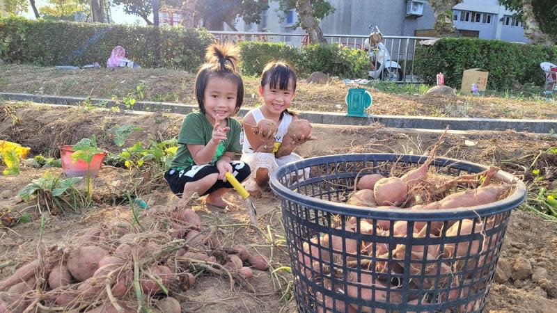 小朋友到農田體驗挖甘藷活動。（翻攝畫面）